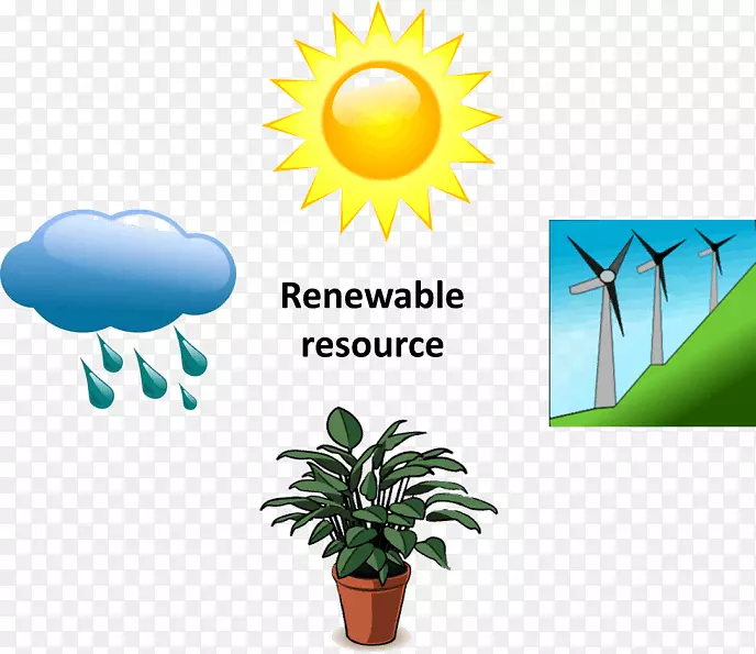 可再生能源花卉植物生殖-能源