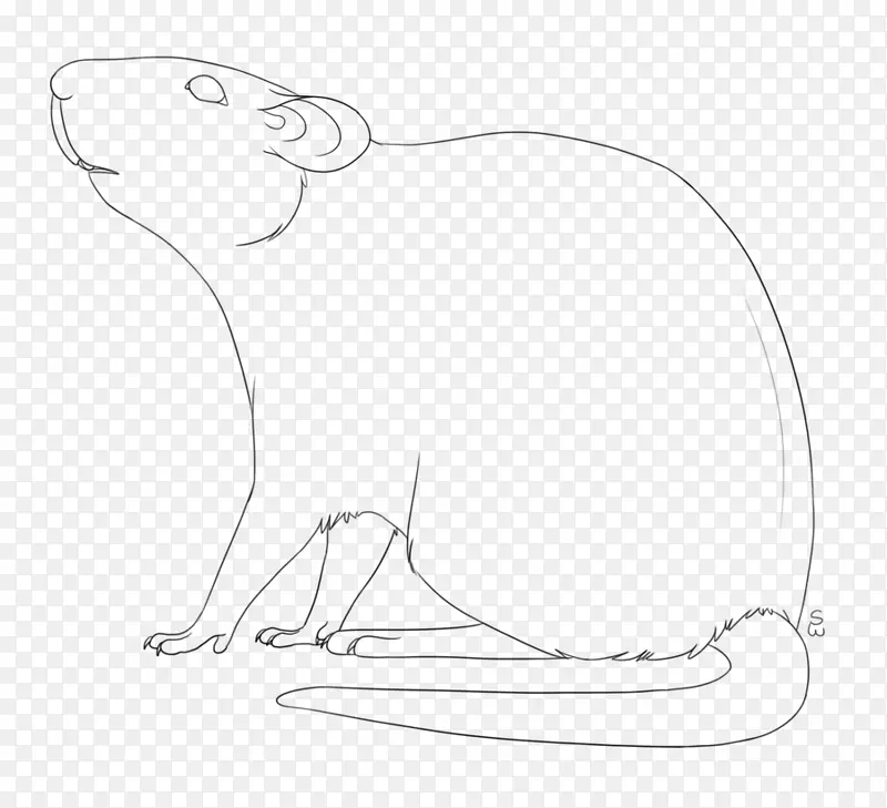胡须线艺术老鼠波斯猫素描-老鼠