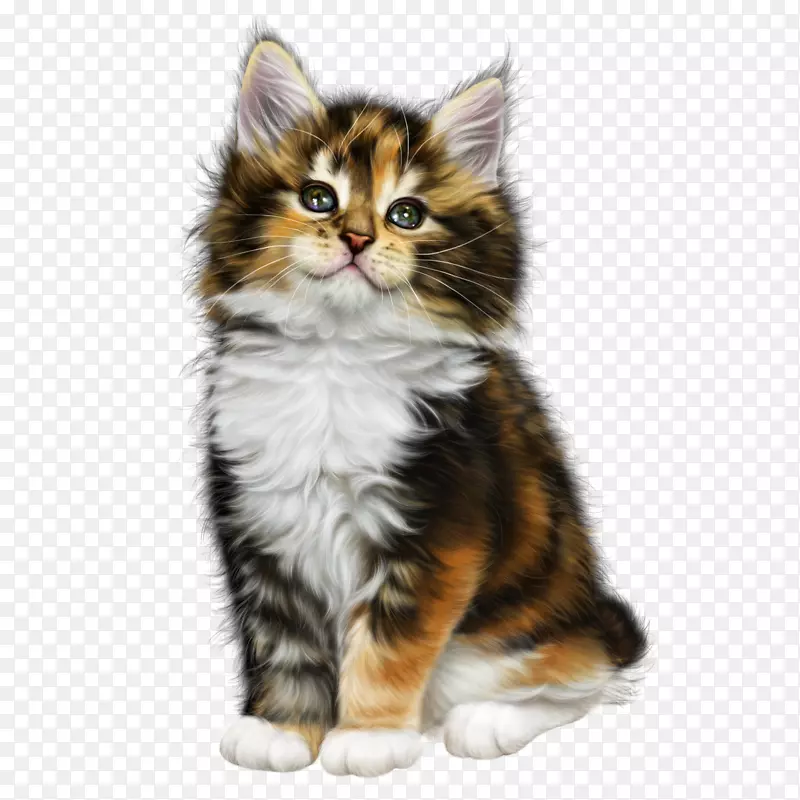 猫女小猫-彩色猫