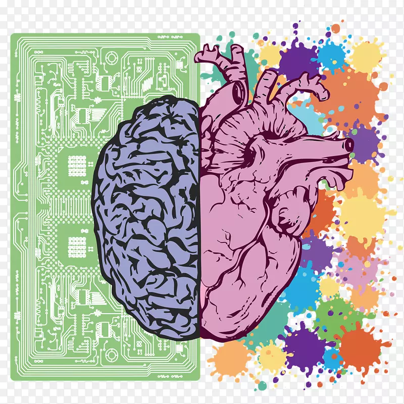 脑神经科学解剖心脏偏倚-关于大脑