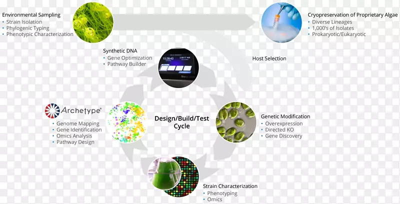藻类燃料埃克森美孚合成基因组学生物燃料特性