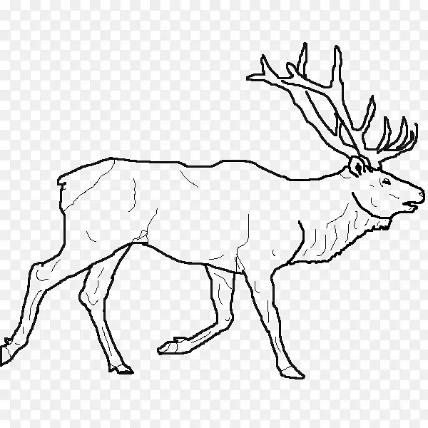 麋鹿画线艺术-驯鹿