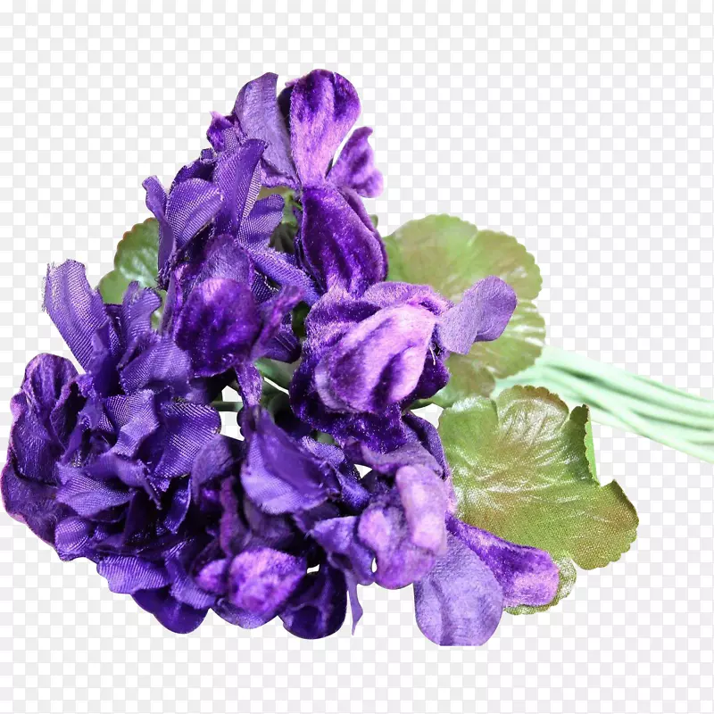 切花紫花瓣花