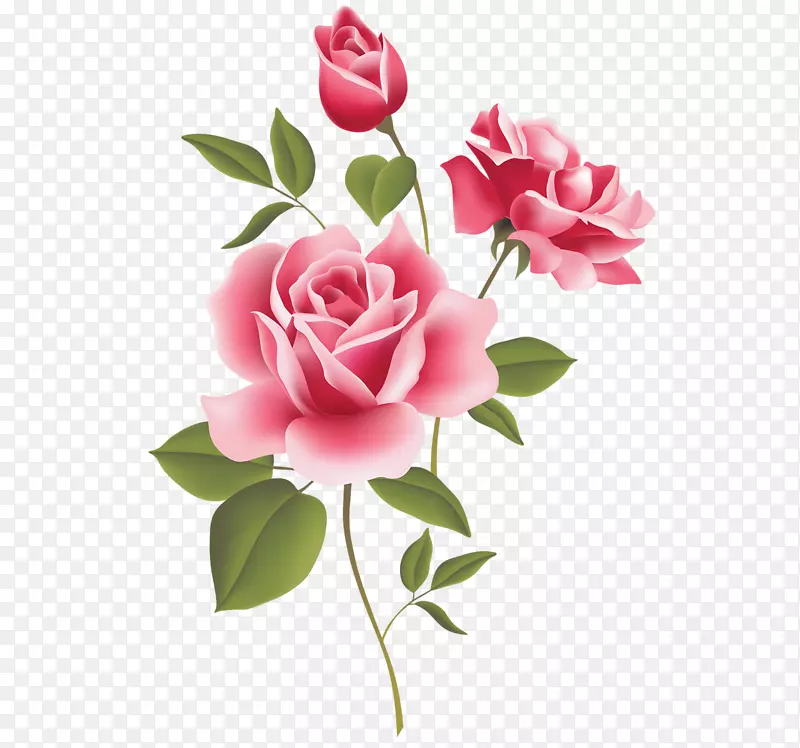 玫瑰免费粉红剪贴画-玫瑰