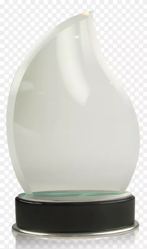 协会颁发玻璃材料工艺品奖