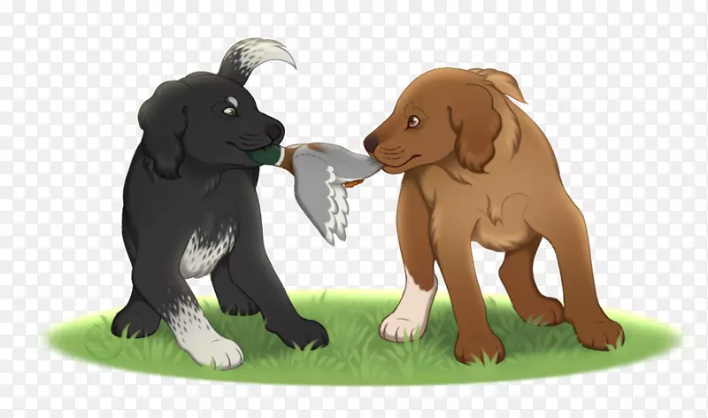 拉布拉多猎犬繁殖伴犬玩爆竹犬