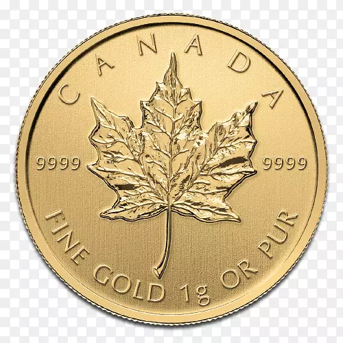 加拿大金枫叶金条皇家加拿大铸币-50枚硬币