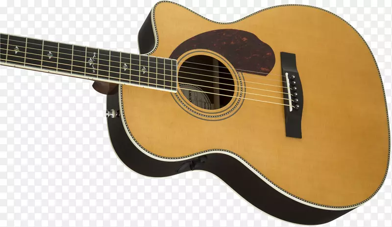 Pm3豪华电吉他护舷乐器公司吉他低音吉他豪华