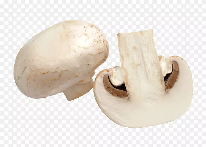 安达莫比萨饼普通蘑菇外带炸鸡比萨饼