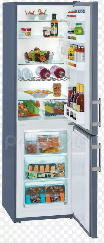 利勃海尔集团利勃海尔库布3311冰箱家电-冰箱
