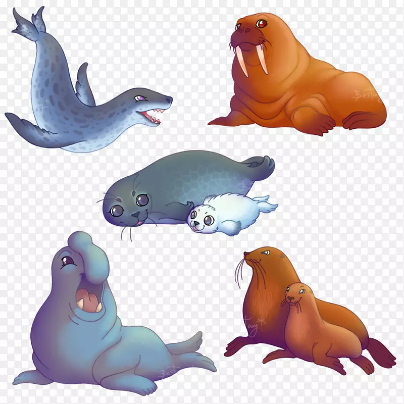 海狮海象海豹竖琴海豹海象