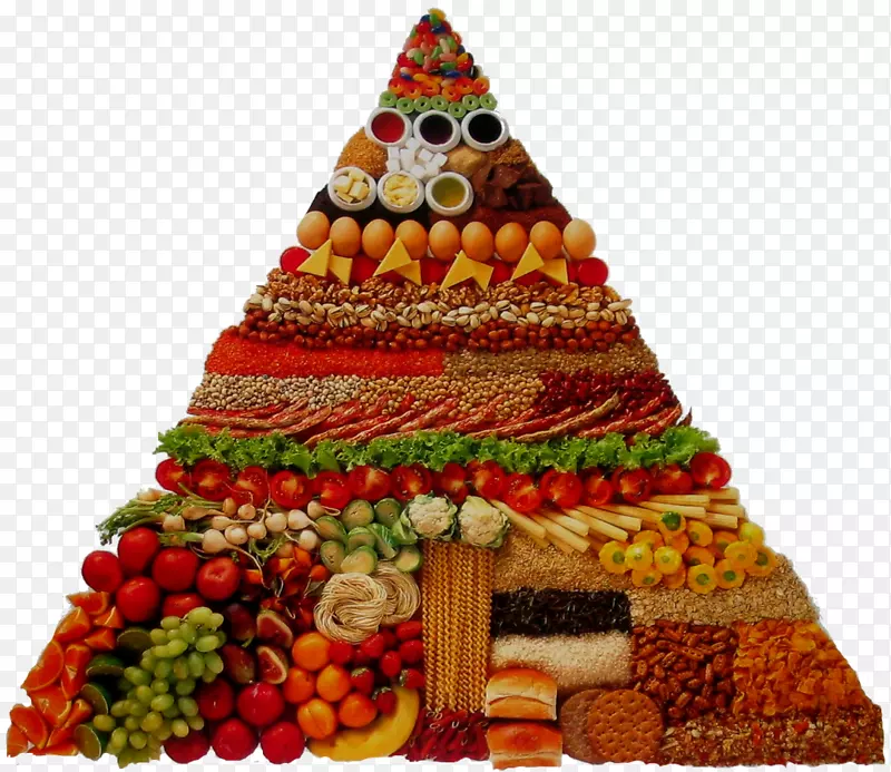营养素食美食金字塔营养健康