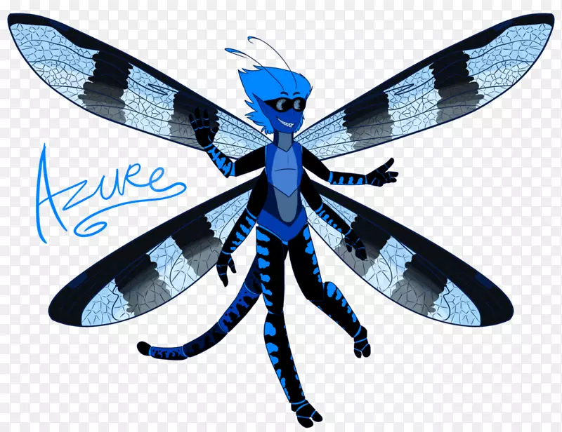 蜻蜓昆虫传粉器翼微软蓝-蜻蜓