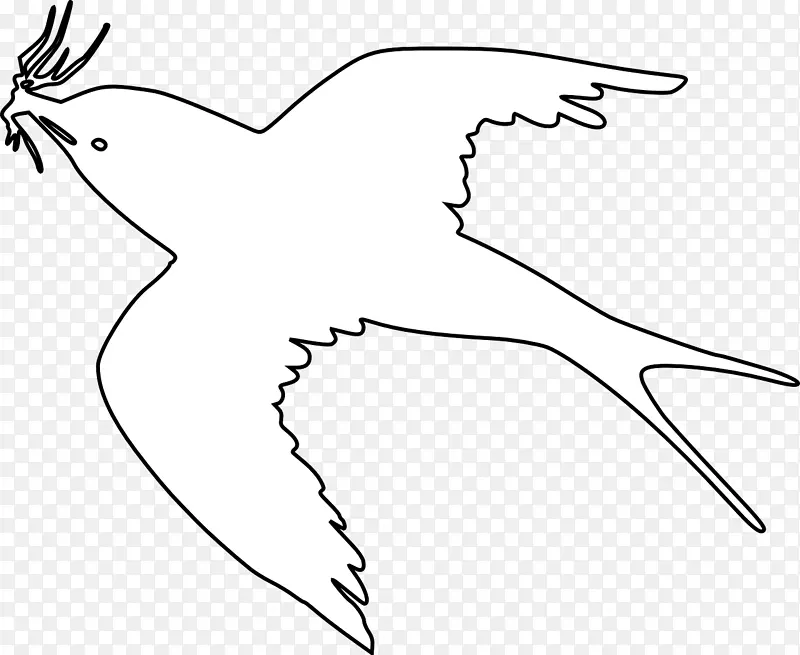 黑白可食燕窝喙