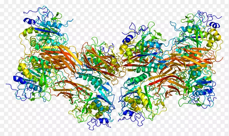 糠醛酶-蛋白质结构简介