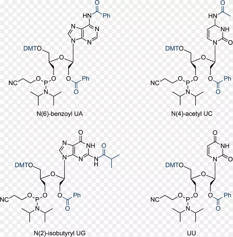 RNA核酸结构dna单体