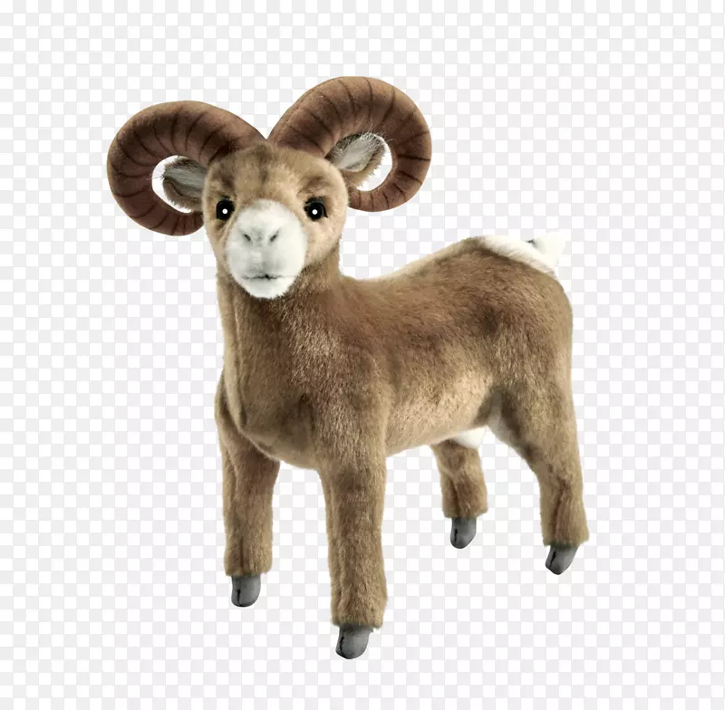 阿加利牛羊陆生动物鼻子-羊