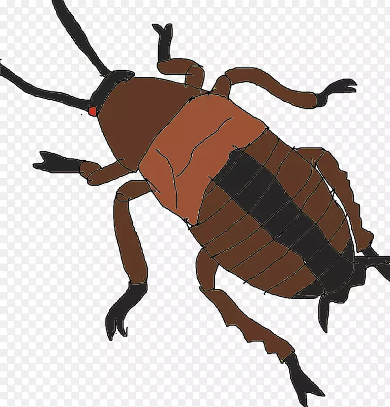 象鼻虫粪甲虫剪贴画甲虫
