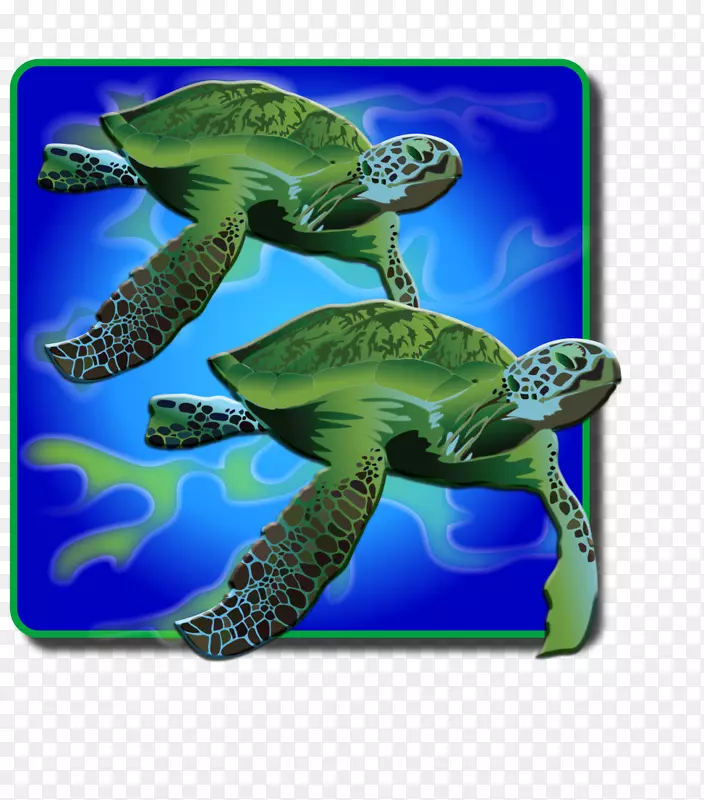 甲鱼海龟生态系统海洋生物动物-海龟