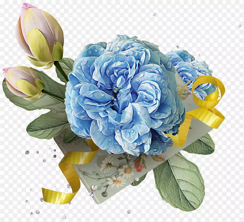花园玫瑰，蓝色玫瑰，花卉设计，百叶玫瑰-花