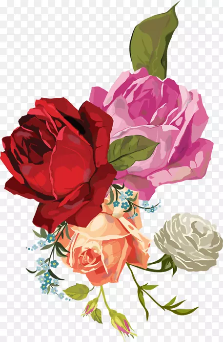 花园玫瑰、花卉设计、蜈蚣玫瑰、帆布花卉