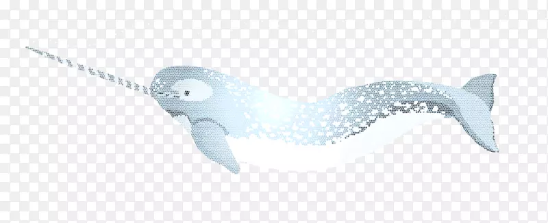 独角鲸海洋白鲸-动物