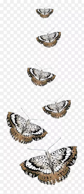 蝴蝶夹艺术-蝴蝶