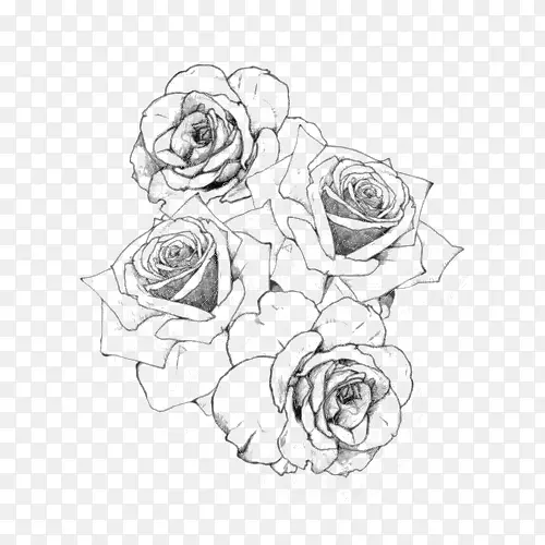 刺青玫瑰画-玫瑰