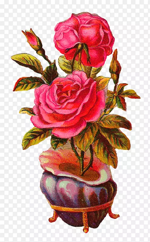 花园玫瑰、蜈蚣玫瑰、花盆设计花瓶