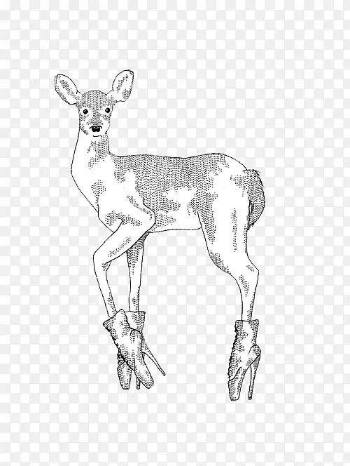 驯鹿羚羊包装动物线艺术素描驯鹿