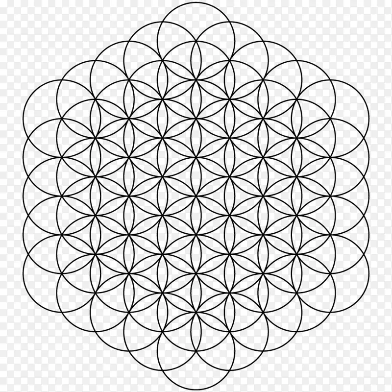 Metatron立方体重叠圆网格神圣几何立方体
