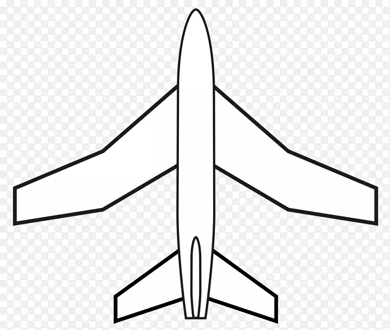 固定翼飞机机翼配置鸭-飞机