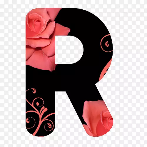 玫瑰粉红色字体-玫瑰