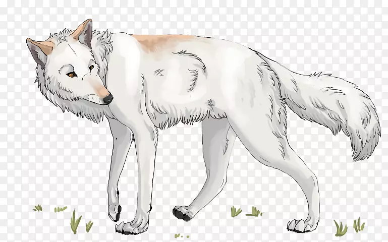 灰狼猫皮毛线艺术素描-猫