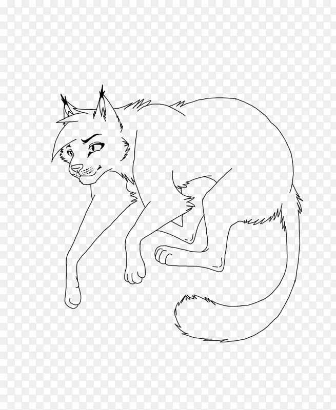 胡须小猫线艺术猫素描小猫
