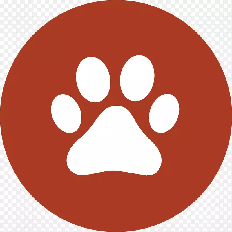 东南导盲犬公司电脑图标宠物狗