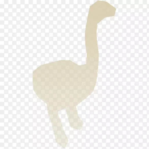 普通鸵鸟骆驼陆生动物颈部-骆驼
