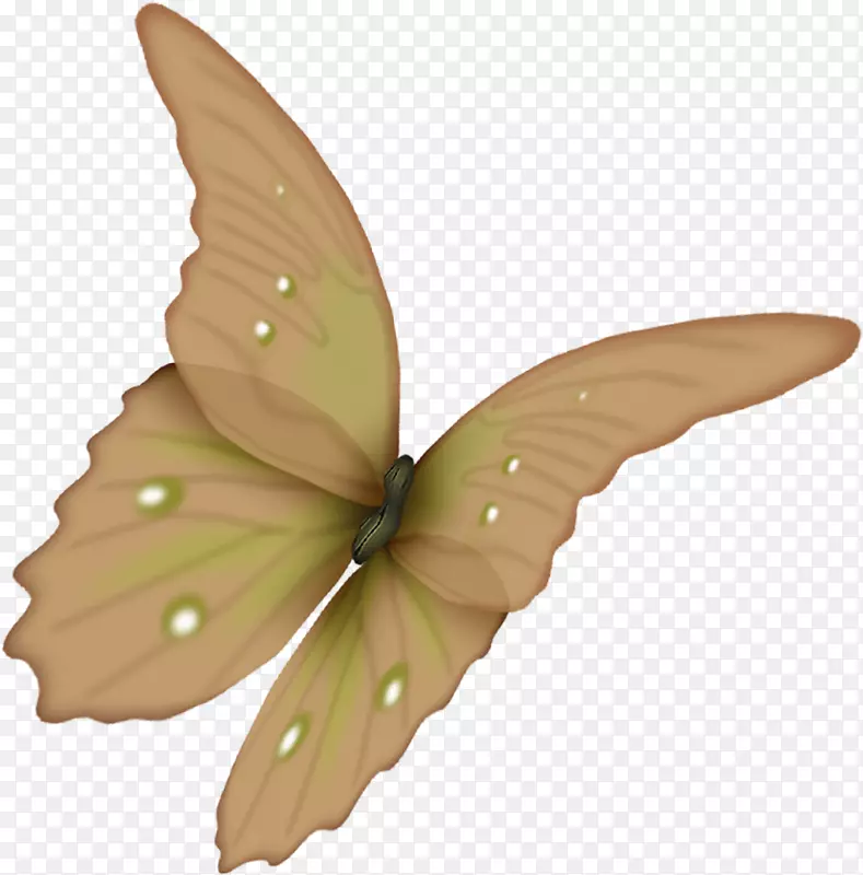 蝴蝶花回形针艺术-蝴蝶