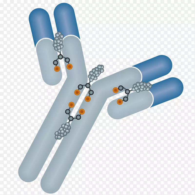 抗体-药物结合物-埃曼辛单克隆抗体免疫学