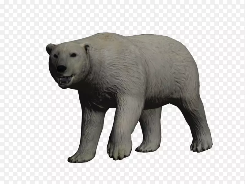 北极熊，棕熊，驯鹿，冻原-北极熊