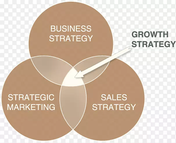 战略规划策略商业计划-市场推广