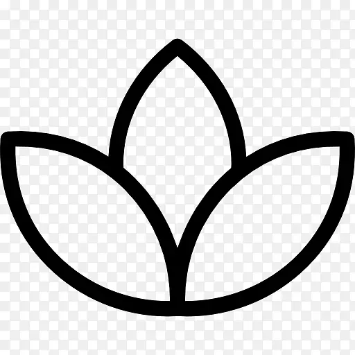莲花经，莲花莲座，印度教，佛教-印度教