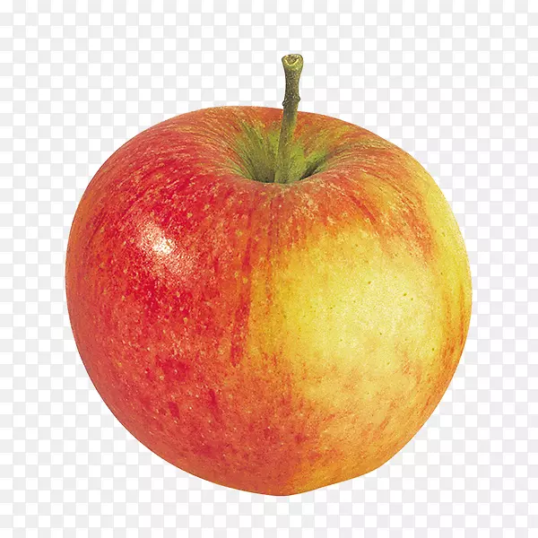 麦金托什苹果有机食品皮诺瓦试验-苹果