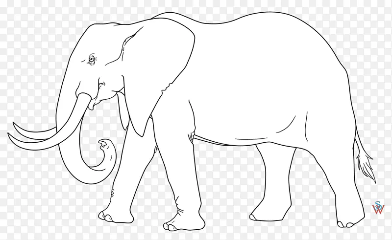 非洲象印度象包动物素描