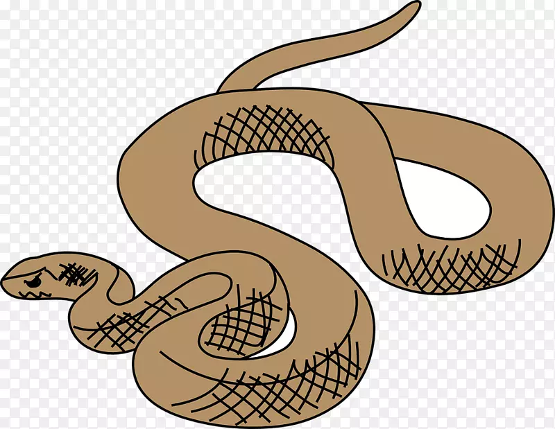 蛇球蟒爬行动物剪贴画-蛇