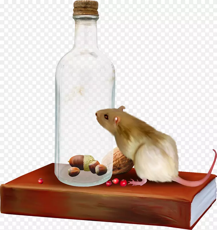 老鼠电脑剪贴画-老鼠