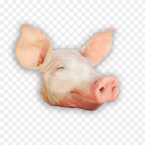 国内猪头奶酪猪肉排骨-猪