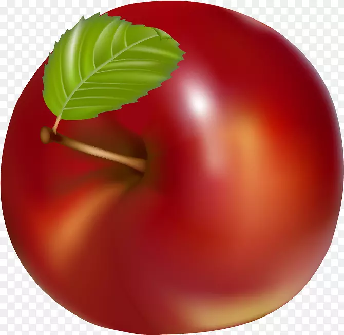 桃子天然食品番茄李桃