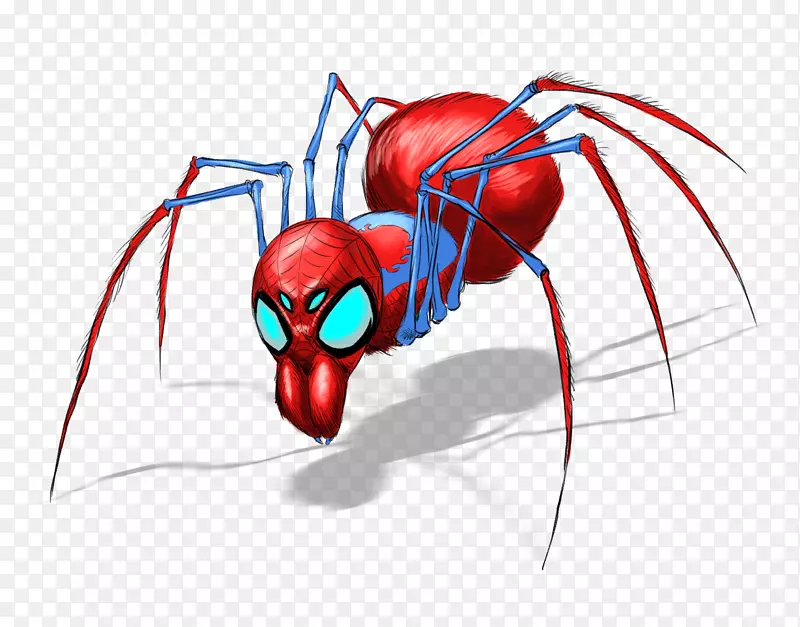 昆虫十足的肌肉剪贴画-蜘蛛网
