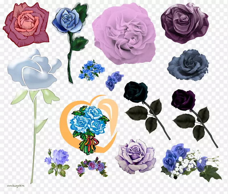 花园玫瑰，花卉设计，蜈蚣玫瑰，切花
